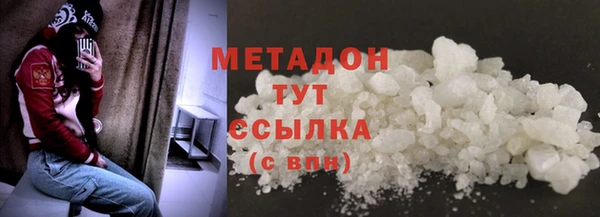 шишки Абаза