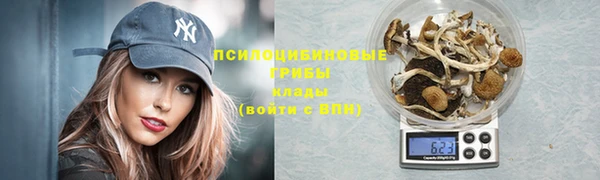 шишки Абаза