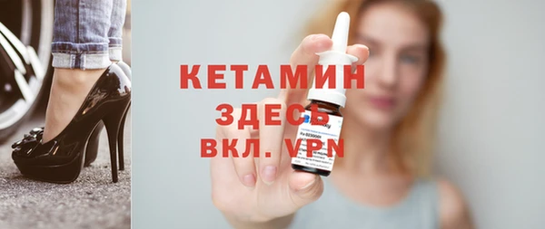шишки Абаза
