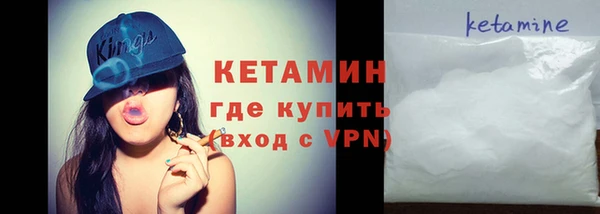 шишки Абаза