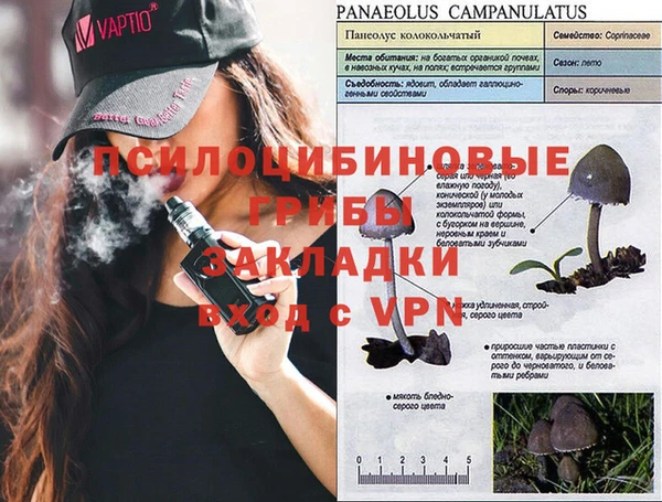 Альфа ПВП Алексеевка