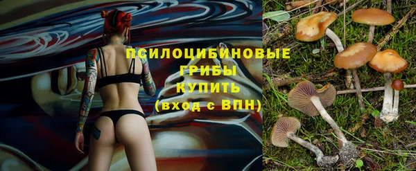 винт Абинск