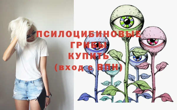 шишки Абаза
