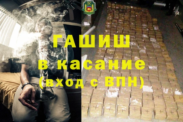 шишки Абаза